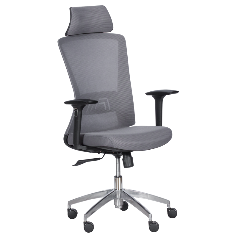 ergonomichen-stol-carmen-7542-siv