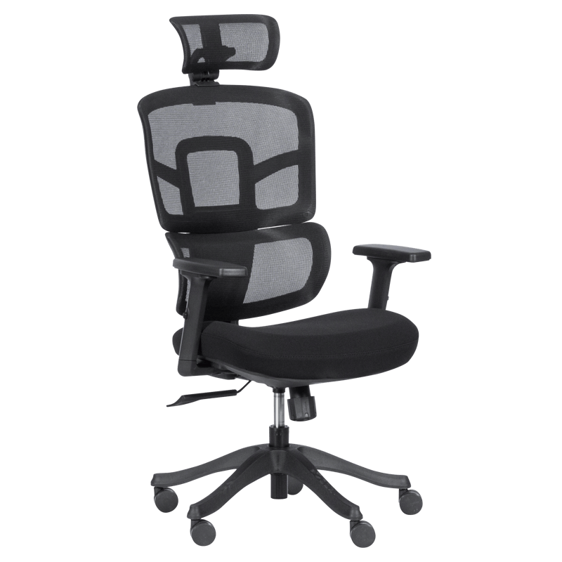ergonomichen-stol-carmen-7582-cheren