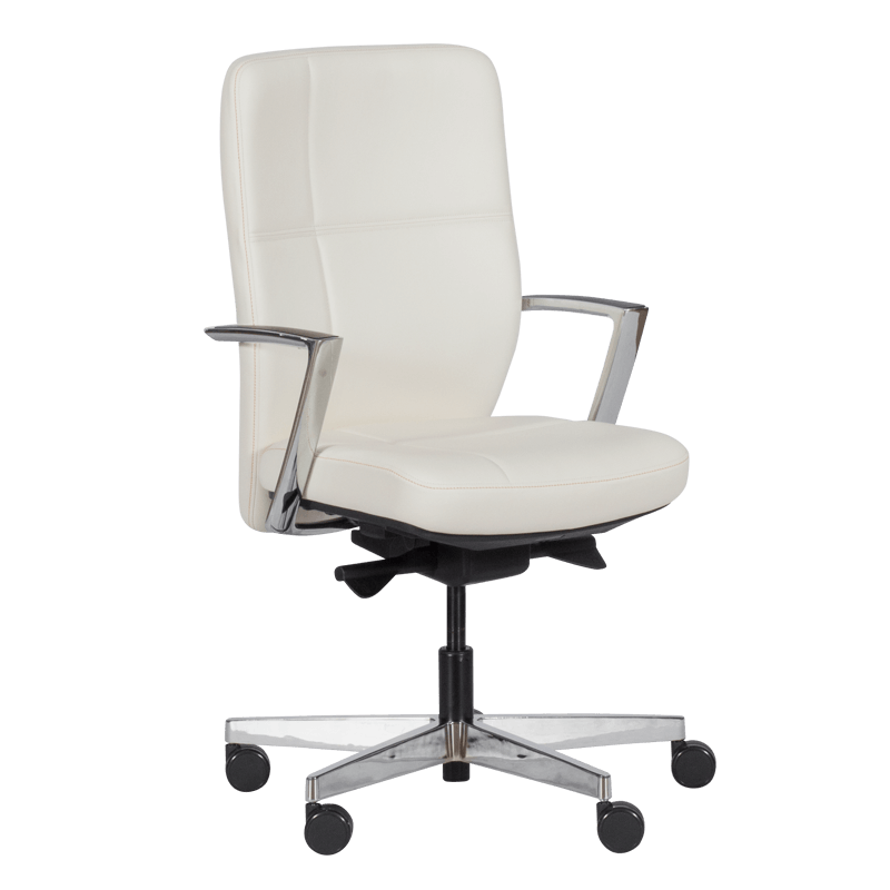 ergonomichen-stol-sonia-bjal-lux