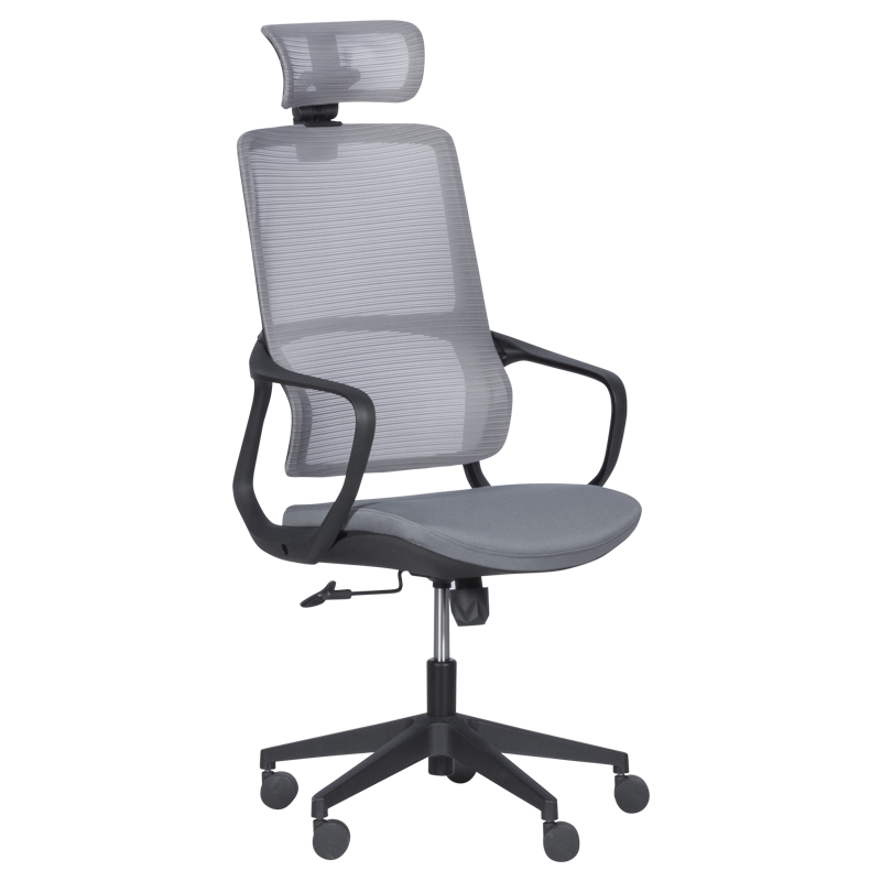 raboten-ofis-stol-carmen-7587-siv